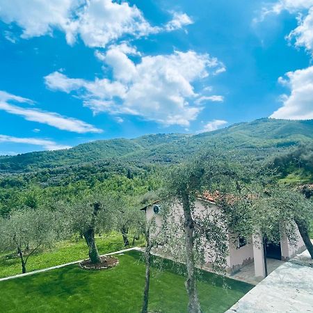 Casa Vacanze Gli Ulivi Borgomaro エクステリア 写真