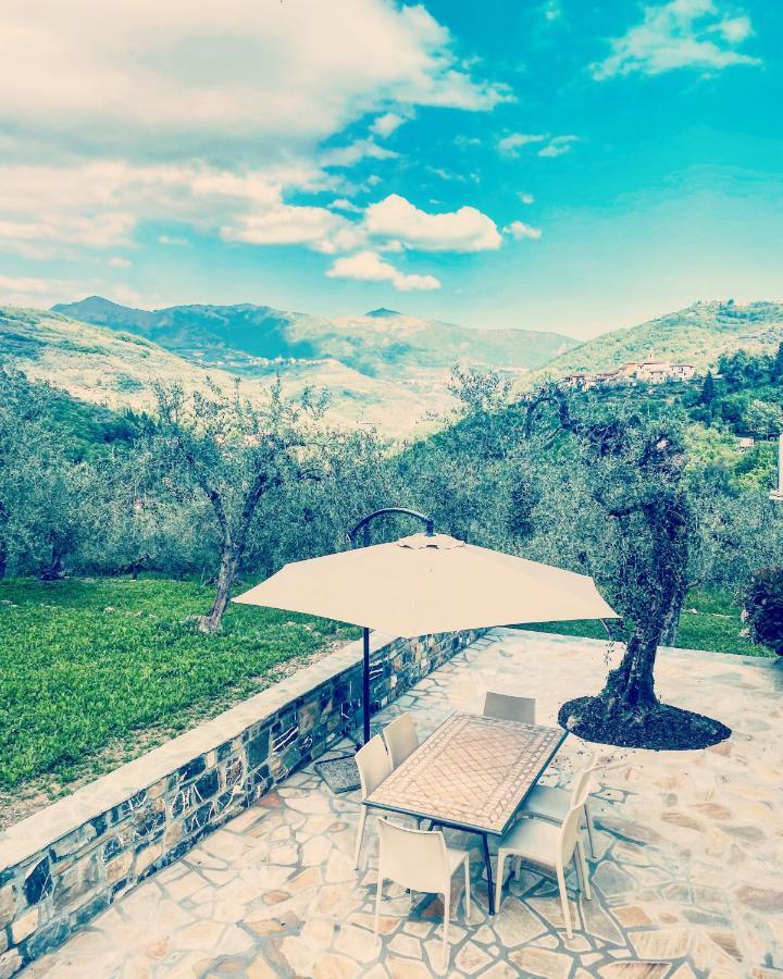 Casa Vacanze Gli Ulivi Borgomaro エクステリア 写真