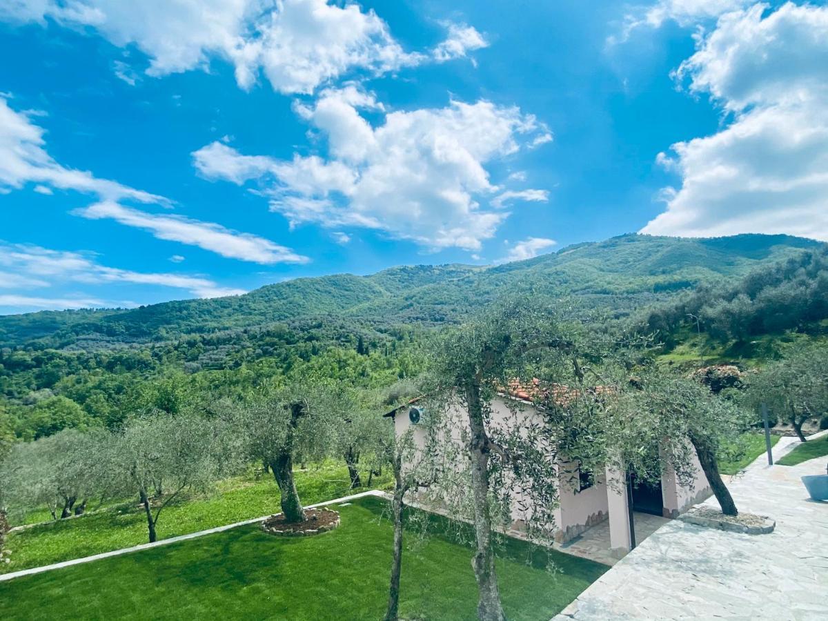 Casa Vacanze Gli Ulivi Borgomaro エクステリア 写真