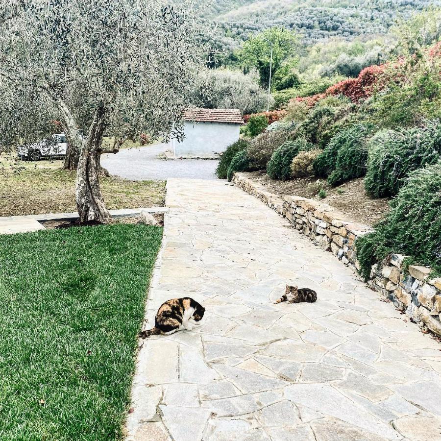 Casa Vacanze Gli Ulivi Borgomaro エクステリア 写真