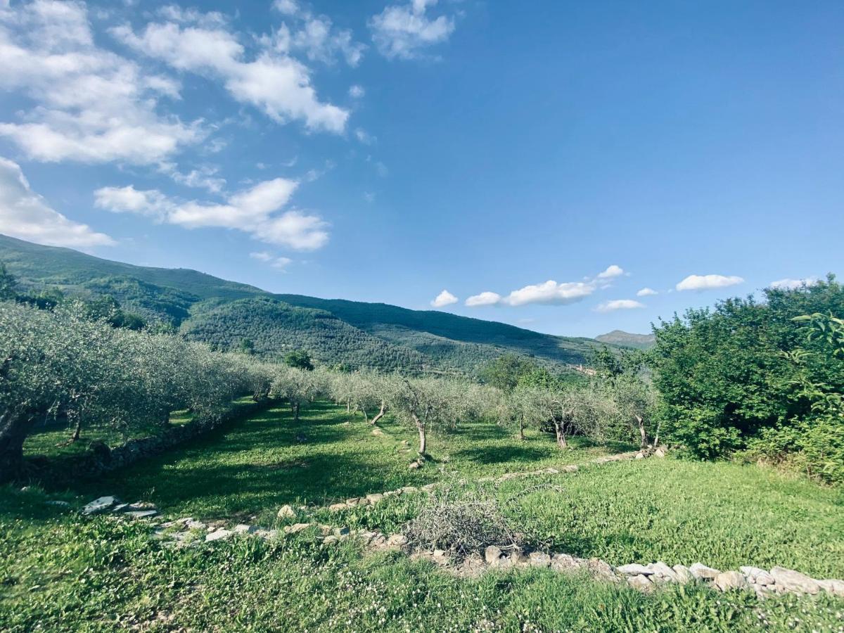 Casa Vacanze Gli Ulivi Borgomaro エクステリア 写真