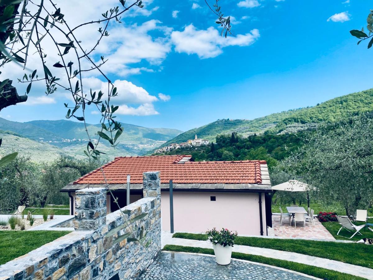 Casa Vacanze Gli Ulivi Borgomaro エクステリア 写真