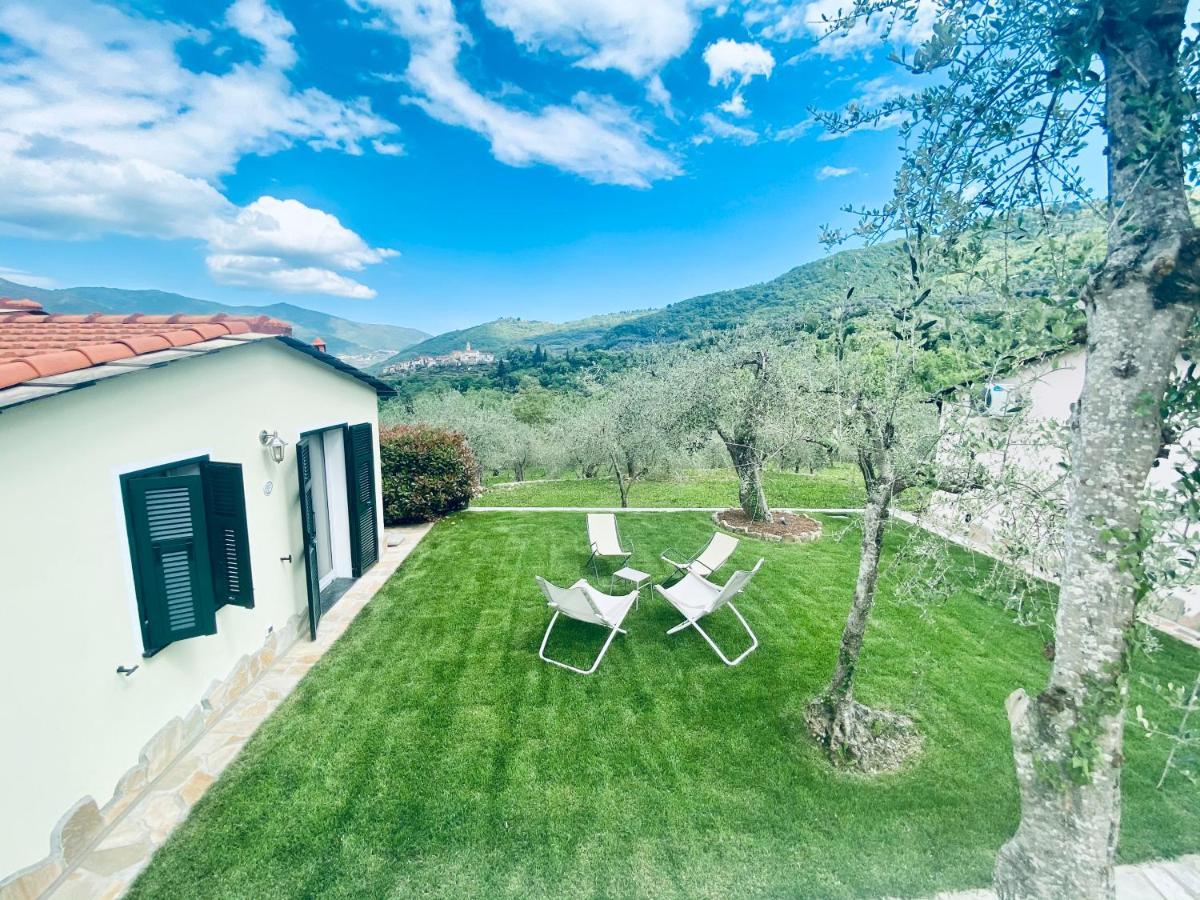 Casa Vacanze Gli Ulivi Borgomaro エクステリア 写真