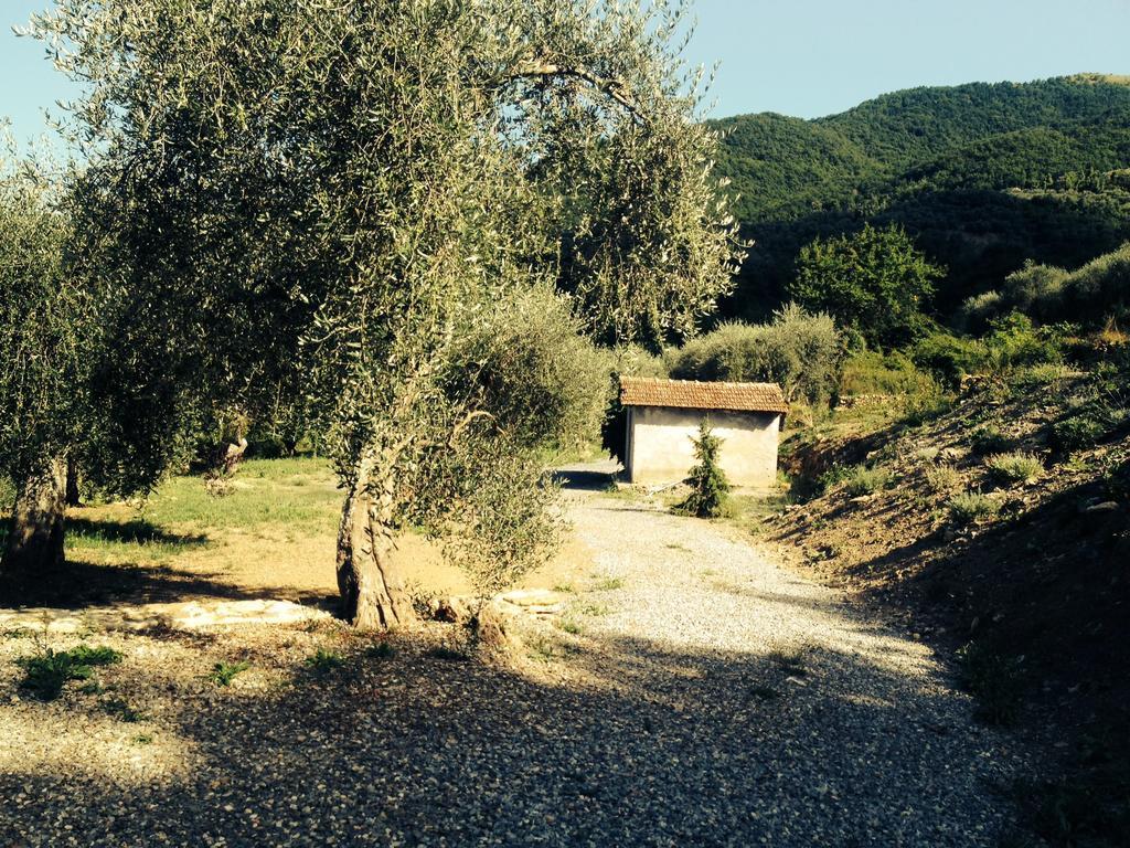 Casa Vacanze Gli Ulivi Borgomaro 部屋 写真