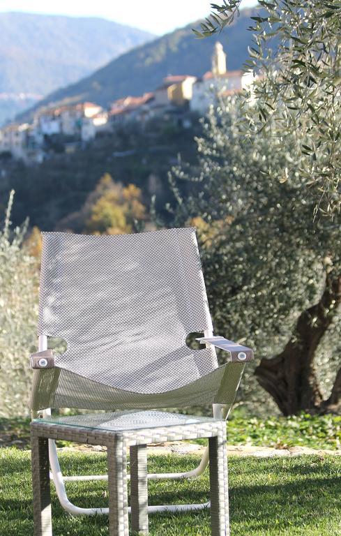 Casa Vacanze Gli Ulivi Borgomaro エクステリア 写真